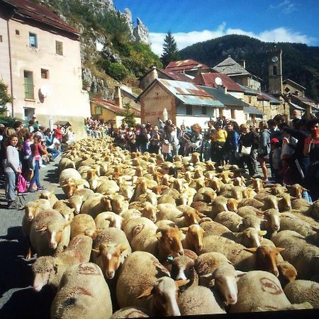 Le Chalet Des Buisses Ξενοδοχείο Roubion Εξωτερικό φωτογραφία
