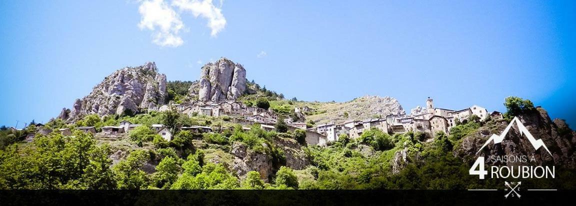 Le Chalet Des Buisses Ξενοδοχείο Roubion Εξωτερικό φωτογραφία